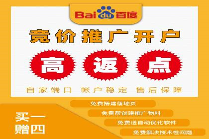 SEM推广代运营公司：实战案例解析
